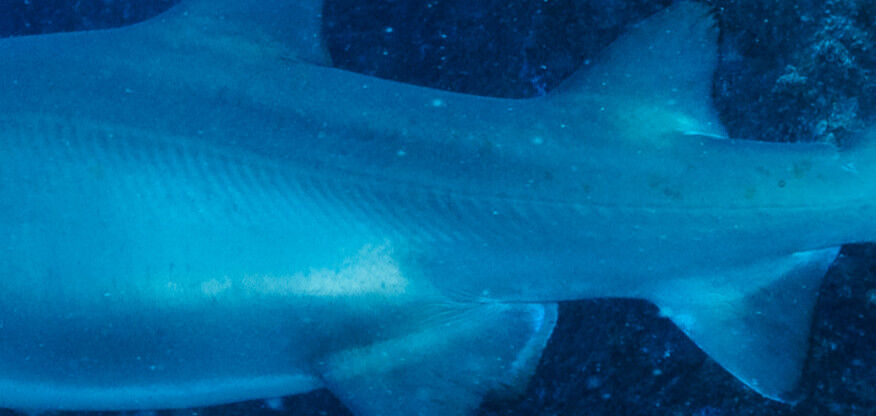 8d2b766d-0346-4903-8bf4-c7d50d9ccec4