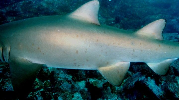 b5657b33-1bff-4fc5-8d9c-b405e062ddaa