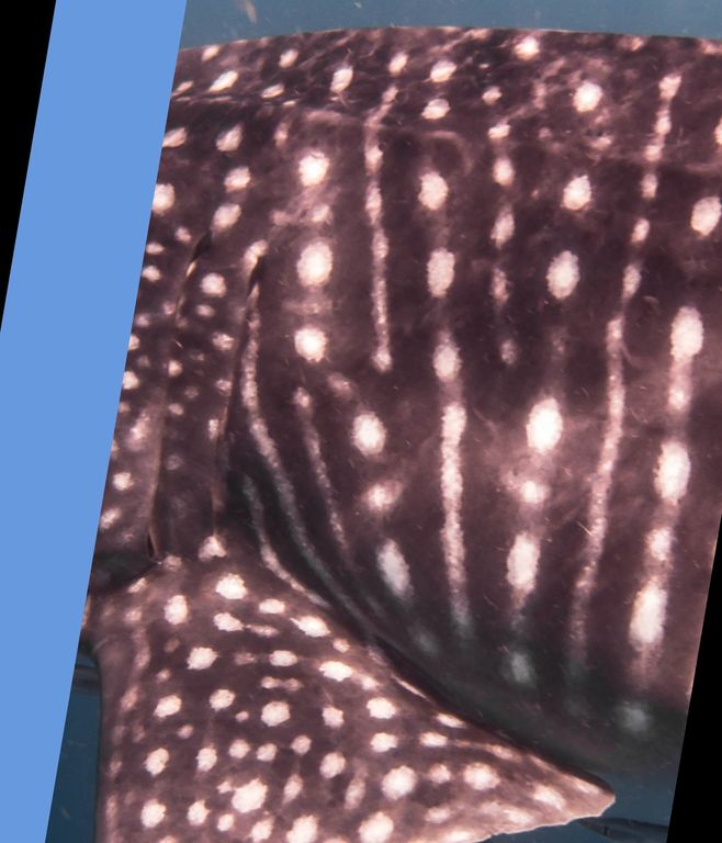 d13d7729-3658-4433-876d-ee11e2e5d77b