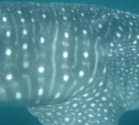 38da85f5-c072-4902-aeb0-7233bc23952b