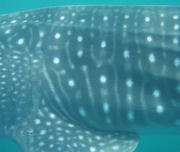 38da85f5-c072-4902-aeb0-7233bc23952b