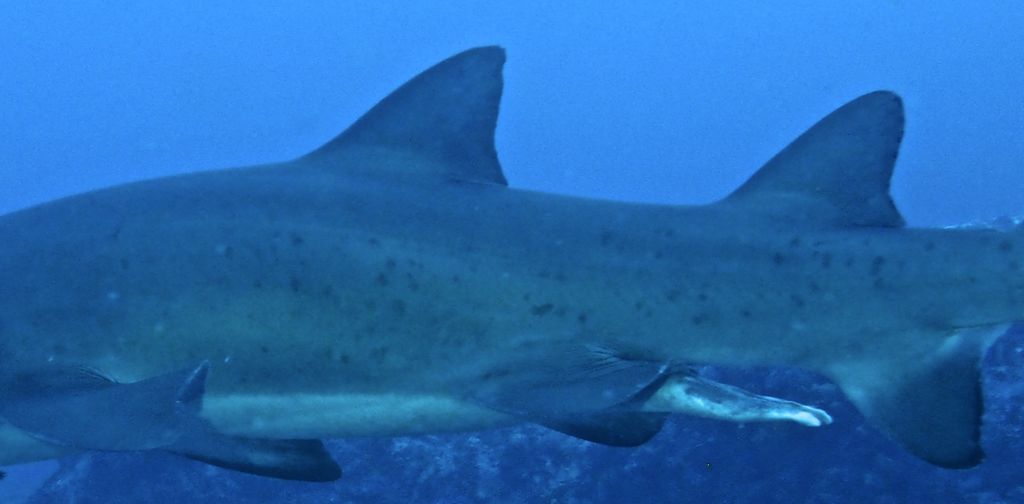 188aa8f9-5bd5-4b87-8983-b4283544dc6e