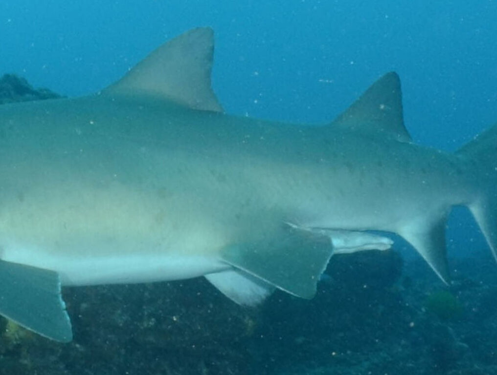 3e2e5943-6659-4357-9e8d-5d33416bdc7a