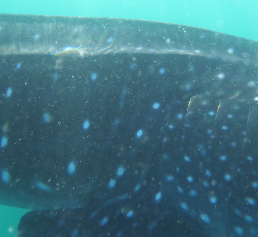 fd3c3649-32bb-4bcf-835c-414bf82919f2