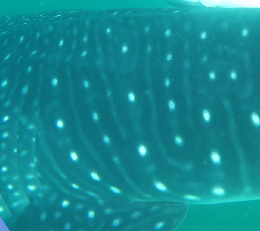 fd3c3649-32bb-4bcf-835c-414bf82919f2