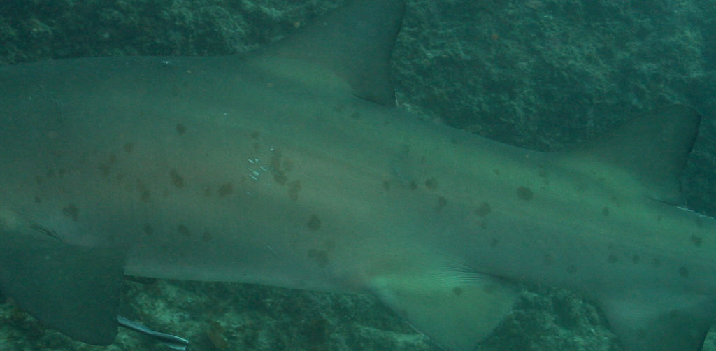 a6199459-11c3-4bd9-88c2-de3b7c5ffb55