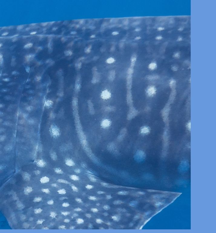 e8f9d015-8c9a-47c9-877c-e5aebd28030b