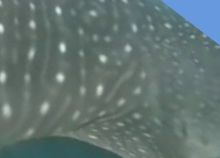 b789d1e7-23d1-4656-af59-9b91ce4a99a6