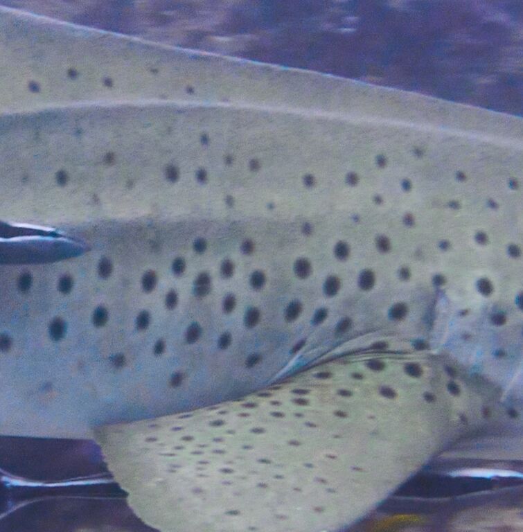 638f4934-8aec-44bd-aabf-946649a352ad