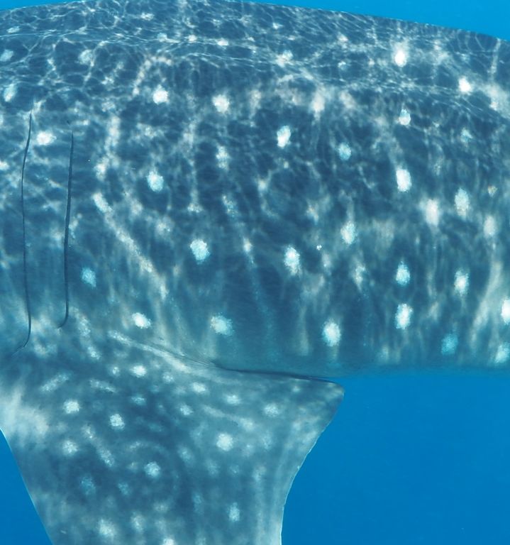 dbd0f1cd-e412-4605-9ad9-d4bcf4616e45