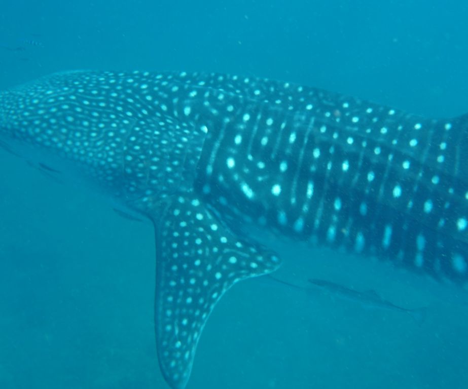 37c75a41-4050-4c49-b0f6-0f66c1a65434