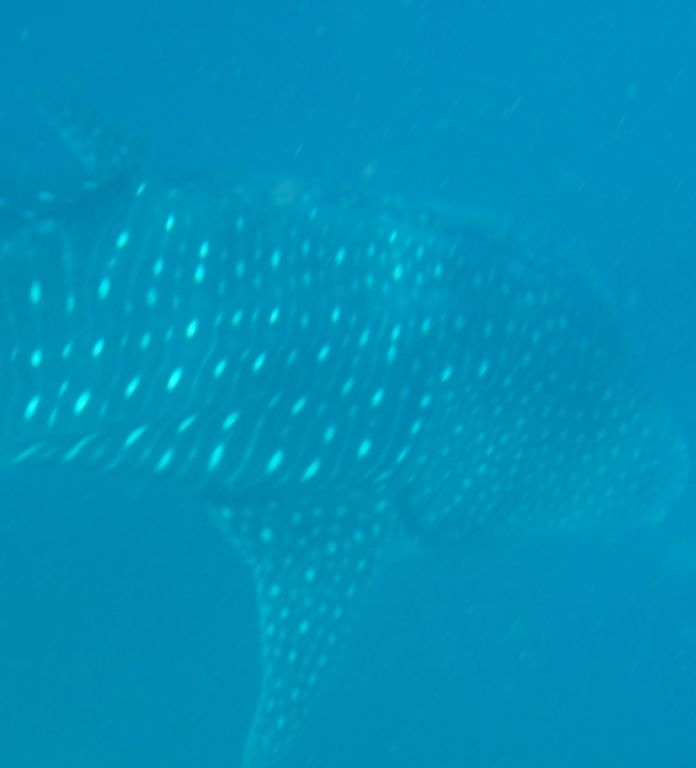 37c75a41-4050-4c49-b0f6-0f66c1a65434