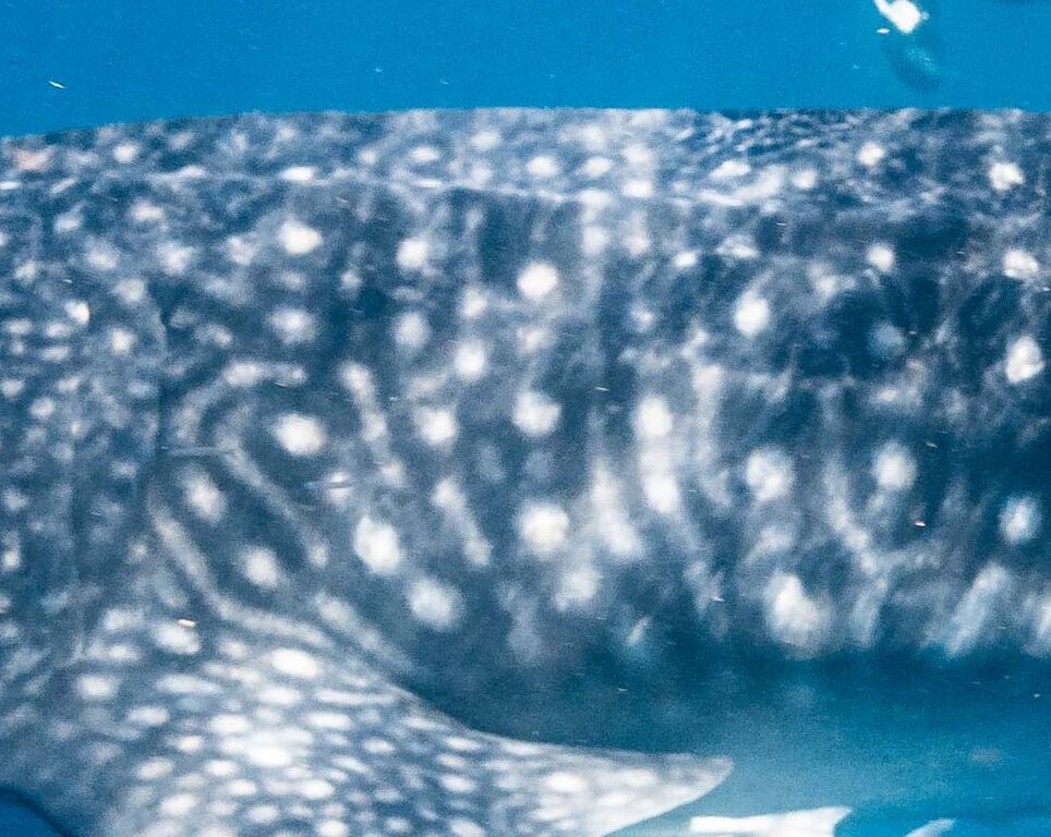 f84bdf5e-adc1-47f1-9cd7-3d33a0ca68d2