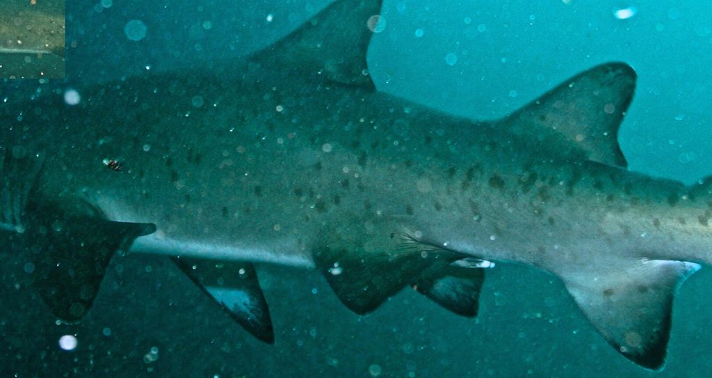 6628b82f-b099-48d4-8794-8032ed51ef88