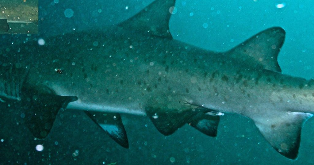 6628b82f-b099-48d4-8794-8032ed51ef88