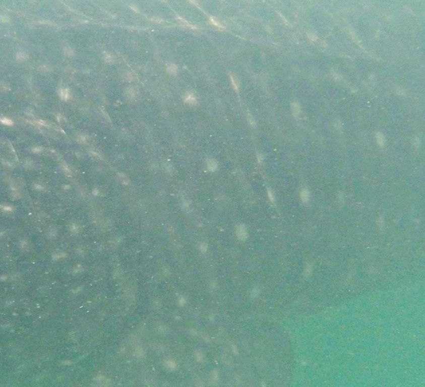 8a003f84-285e-431d-b32a-0e477fc367fd