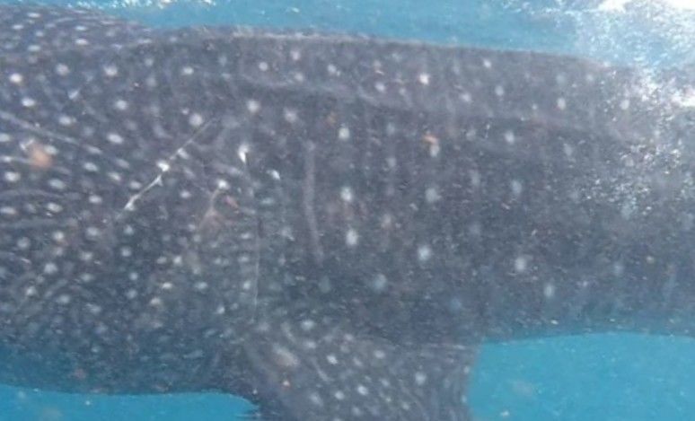 8825e0a2-836e-47c4-a88a-e1a31f75cb38