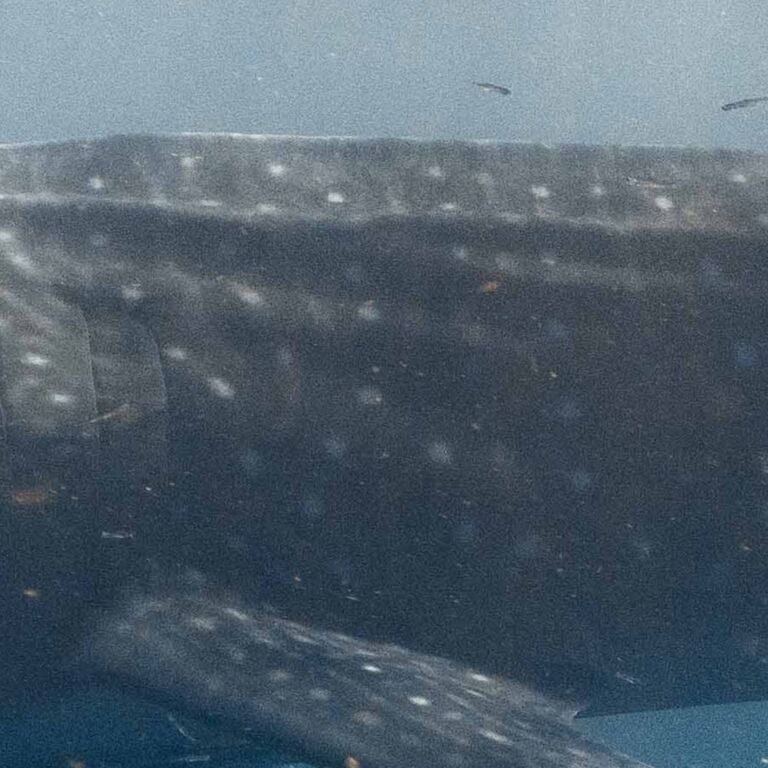 f1384e8e-4a1d-4a9f-809c-2330ad0e13c1