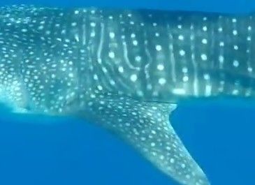 1f9fc16c-f76d-428b-82e3-f7e180c1bb84