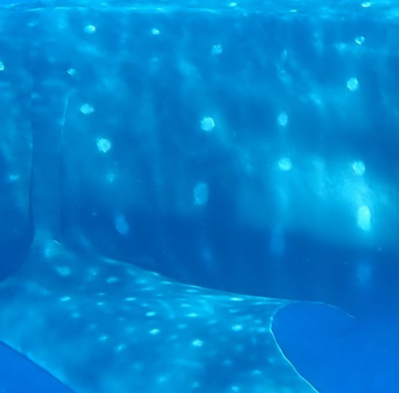 8e944a50-f3a0-471b-8e94-5af1e34d8dc3