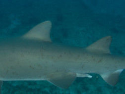 f8542fd6-0fad-4283-8026-9b49f24b2ddb