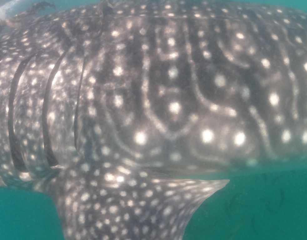 2024723d-8153-4e0a-8655-a966ea4508f7