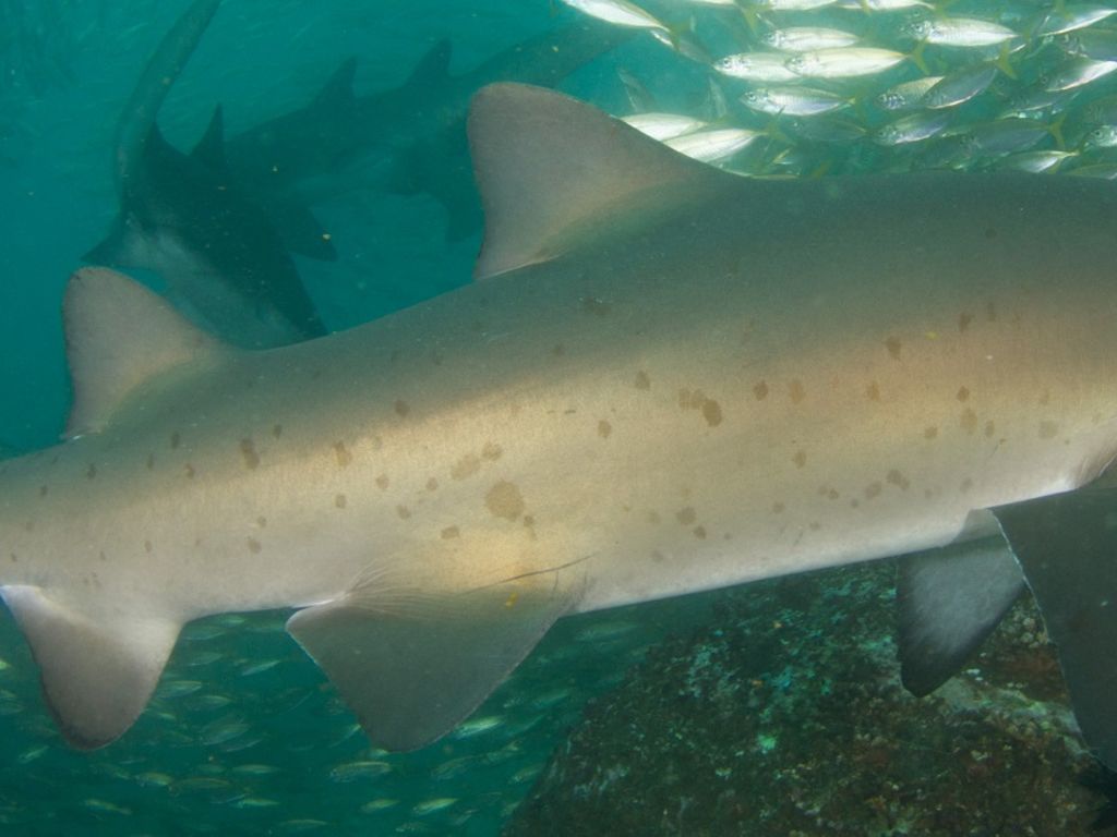 36b32498-8bb1-4dca-b229-1cb523215a34