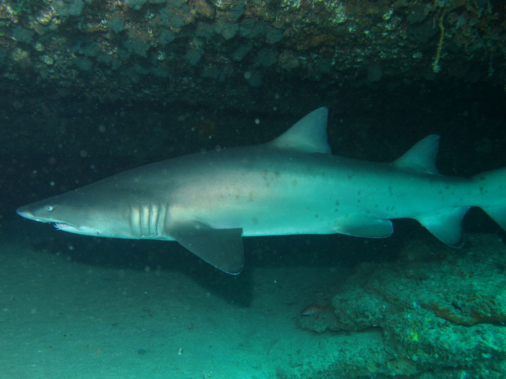 ffe7e9d0-5651-432f-b01b-20660c88cec8