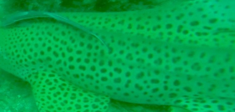 7a83dc74-f01a-4f51-a9c4-91564c86e3e3