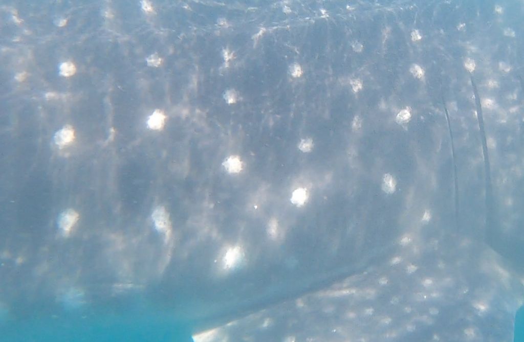 d3d776b9-703a-4f4f-b785-cc2209f714ed