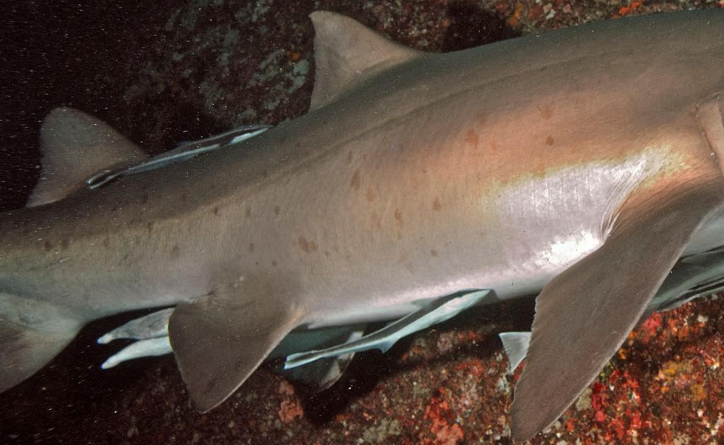 25e4be72-3e12-432e-bf2d-c9f34778a2c2