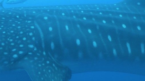 bc326834-27bc-40db-965b-69b1a9a4170b