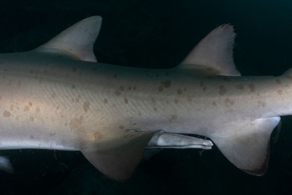 ff5e1205-1828-412a-a831-df712c0602db