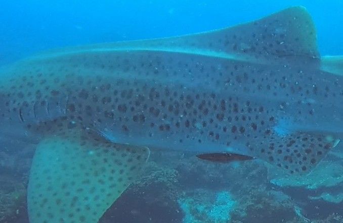 9a061c6f-8b17-4964-95d9-8d68f5868af9