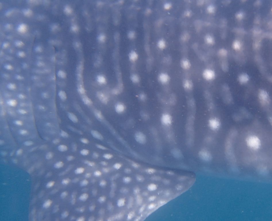 fc6c0e53-cec4-4b5b-96eb-a2b122331122