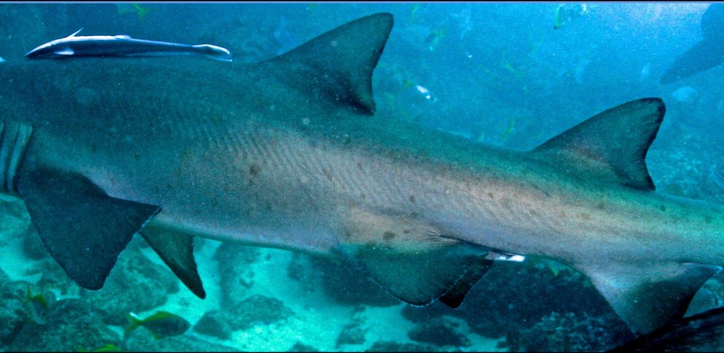 00afbb78-f20b-4f00-aacb-d425ec3f9c4c