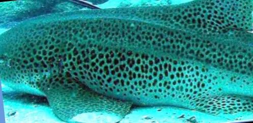 fba3417e-da32-4f9d-be7e-79c944a38e0d