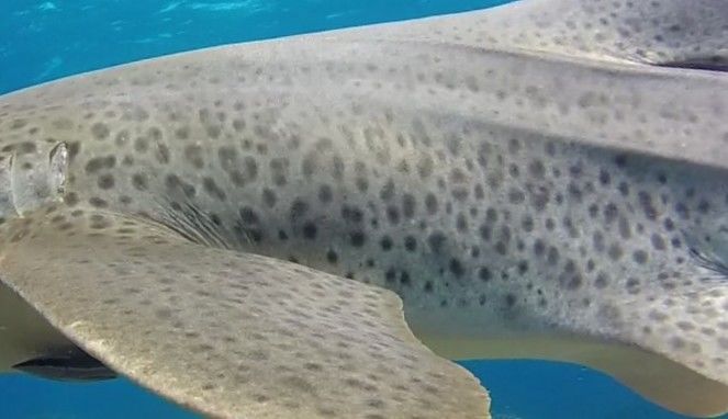 f4ccf2d3-5679-4d8c-8022-5897bfecbd1b