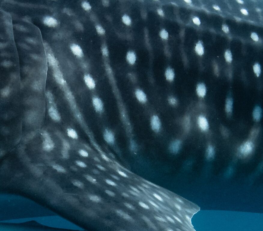 0abbf7dc-de81-45a1-a75d-454537278721