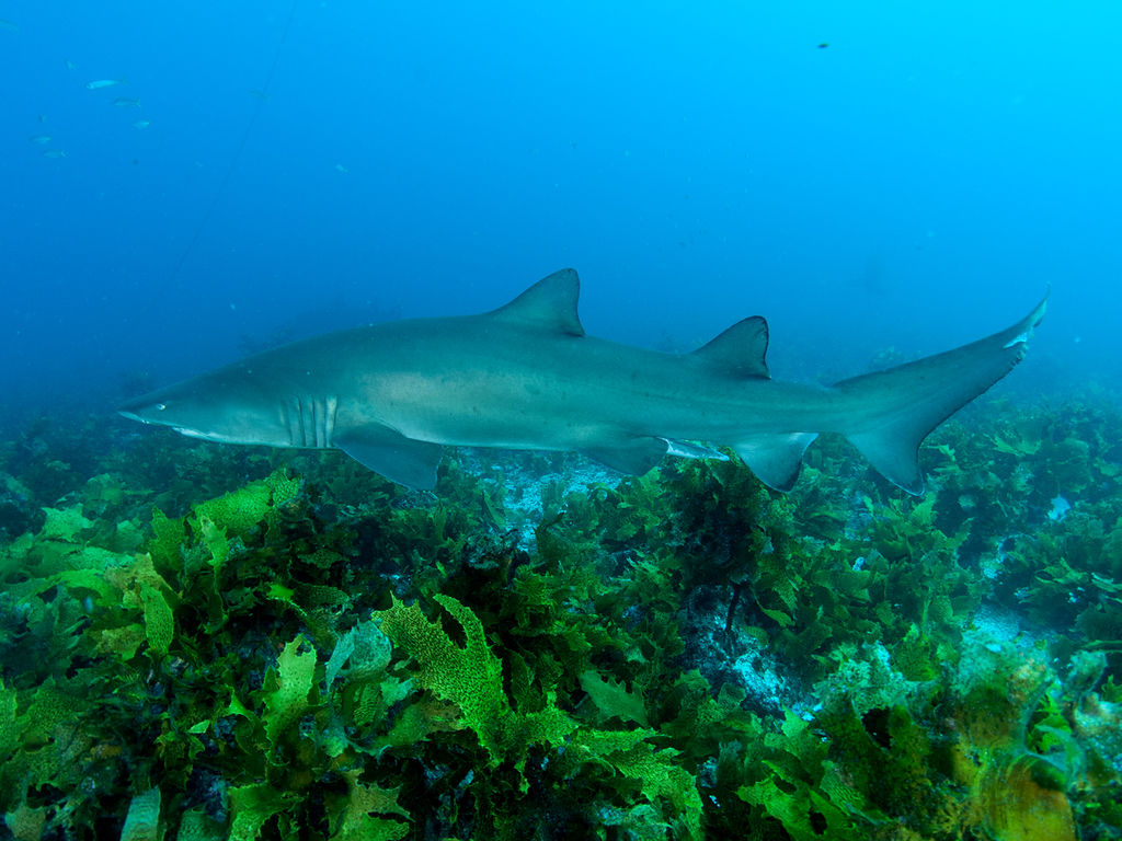 6945d3c1-5892-4fdd-a831-c19da6a7838e