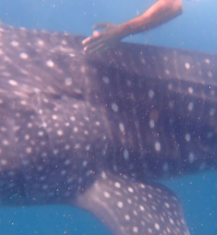 d8174a94-20e3-462c-8174-2ba23a91d0ed