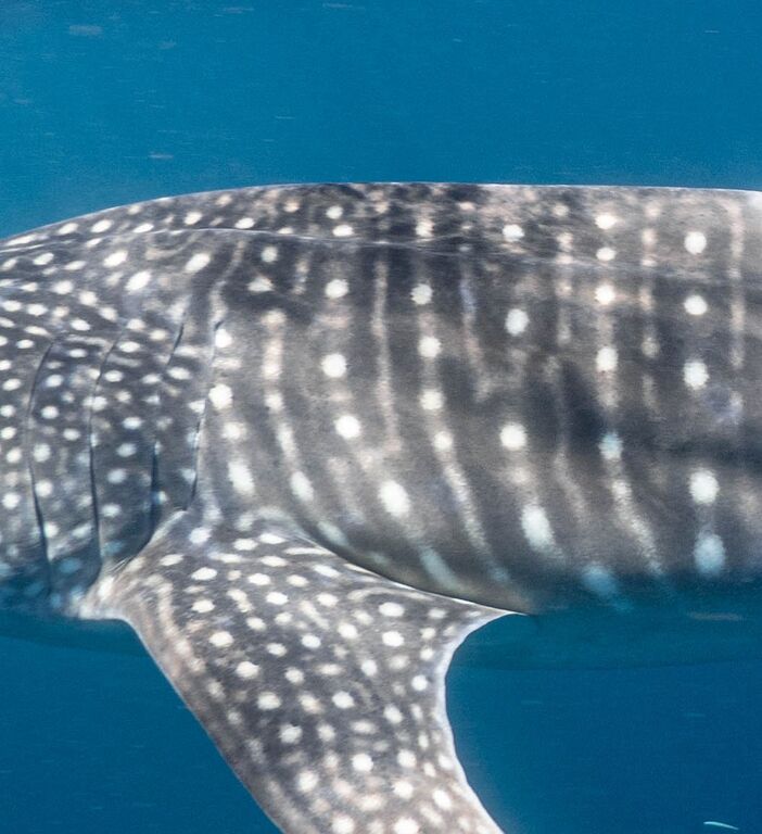 78c15023-3269-4929-a867-280c5a2feb97