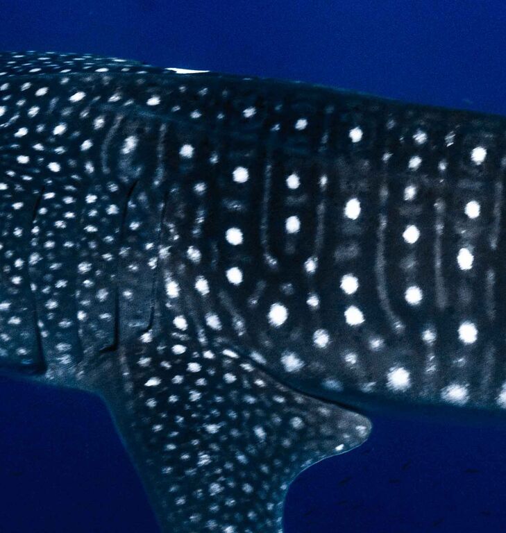 d83601d7-7297-4ecf-a7e9-1e2fb1c2cb73