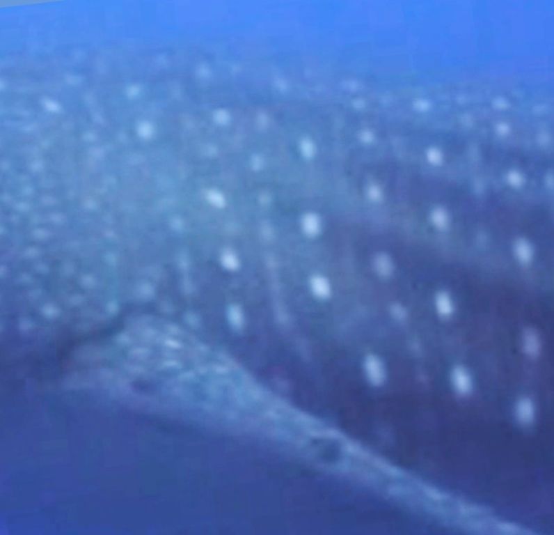 b142be53-88bb-489e-8661-61ac90225abb