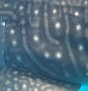 115752cf-1206-4382-8e75-766dd5d580d9