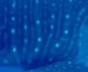 115752cf-1206-4382-8e75-766dd5d580d9