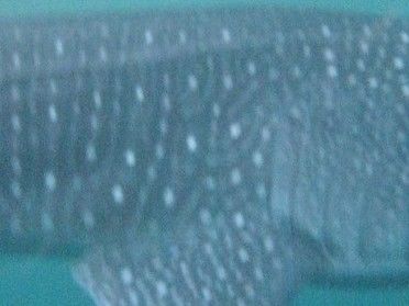 af07891b-9d7b-49b5-bb47-c980fe55f366