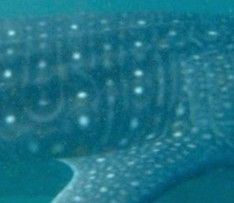 d7f2b805-d797-4907-836e-0962ddb81261