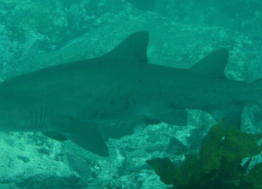 91b366ea-db18-4652-a51d-a6e5db32a668