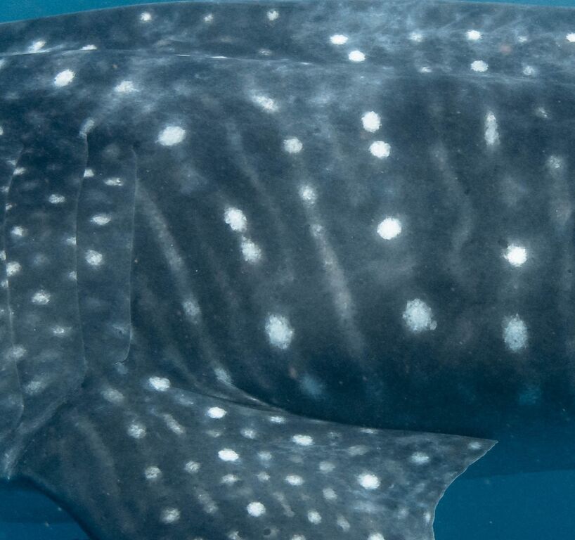 1735642b-1bf0-4ed0-a6fd-5168d83baf54